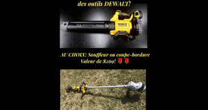 Un souffleur DEWALT ou un coupe-bordure DEWALT