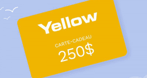 Une Carte cadeau CHAUSSURES YELLOW de 250$