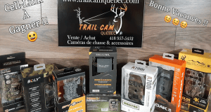 Une Caméra Spypoint Cell-Link