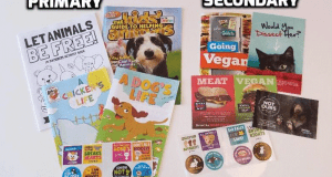 GRATUIT Magazines - affiches - kits et plus encore ...