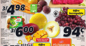 Circulaire IGA du 15 octobre au 21 octobre 2020