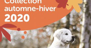 Circulaire Mondou du 5 octobre au 31 octobre 2020