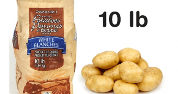 Sac de pommes de terre blanches ou Russet 10 lb à 95¢