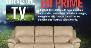 Circulaire Brick du 22 janvier au 28 janvier 2021