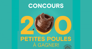 Gagnez 200 petites poules en chocolat