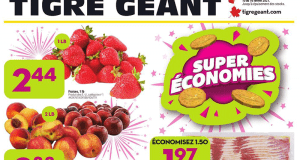 Circulaire Tigre Géant du 10 février au 16 février 2021