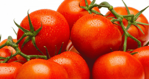 Tomates sur vigne à 78¢ la livre seulement