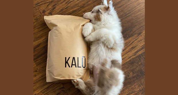 Échantillons gratuits de la nourriture pour chiens KALŪ