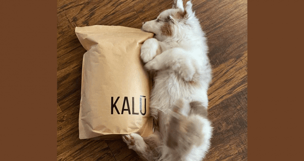 Échantillons gratuits de la nourriture pour chiens KALŪ