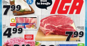 Circulaire IGA du 15 juillet au 21 juillet 2021