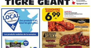 Circulaire Tigre Géant du 11 août au 17 août 2021