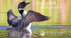 Un Calendrier de la faune 2022 à recevoir gratuitement chez vous