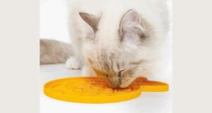 Tapis de nourrissage Creamy Catit à tester