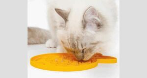 Tapis de nourrissage Creamy Catit à tester gratuitement