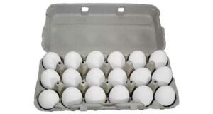 Emballage de 18 oeufs blancs Gros Calibre à 2.99$