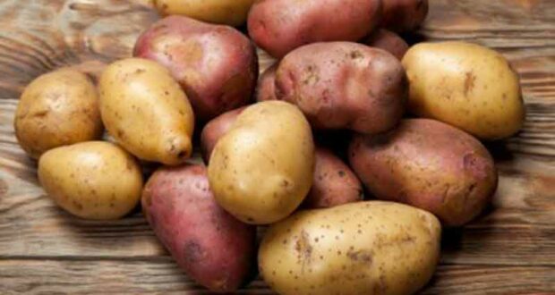 Pommes de terre blanches - rouges ou à chair jaune à 1.86$