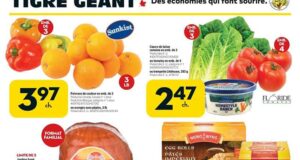 Circulaire Tigre Géant du 2 février au 8 février 2022