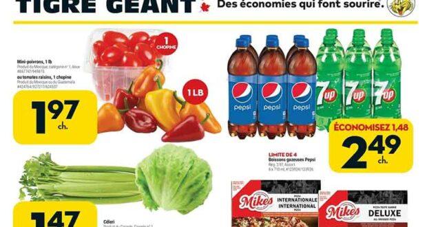 Circulaire Tigre Géant du 23 février au 01 mars 2022