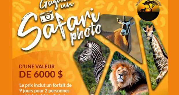 Gagnez un séjour tout inclus chez Majeje Africa Safaris (Valeur de 6000 $)