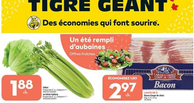 Circulaire Tigre Géant du 1 juin au 7 juin 2022