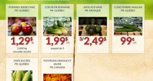 Circulaire Fruiterie 440 du 15 août au 21 août 2022