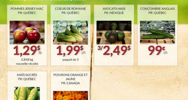 Circulaire Fruiterie 440 du 15 août au 21 août 2022