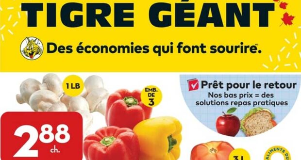 Circulaire Tigre Géant du 24 août au 30 août 2022