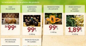 Circulaire Fruiterie 440 du 19 septembre au 25 septembre 2022