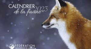 Demandez votre calendrier de la faune 2023