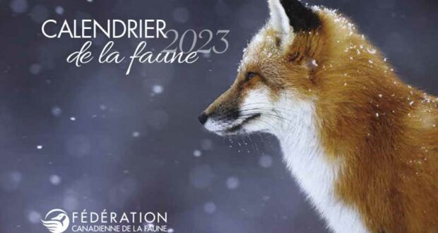 Demandez votre calendrier de la faune 2023