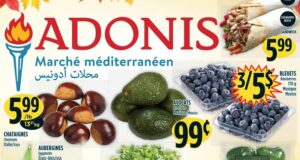Circulaire Adonis du 20 octobre au 26 octobre 2022