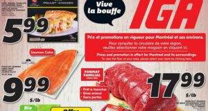 Circulaire IGA du 27 octobre au 2 novembre 2022