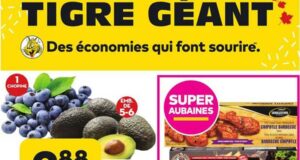 Circulaire Tigre Géant du 26 octobre au 1 novembre 2022
