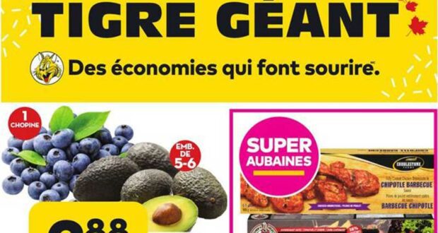 Circulaire Tigre Géant du 26 octobre au 1 novembre 2022