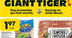 Circulaire Tigre Géant Du 28 décembre au 3 janvier 2023