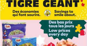 Circulaire Tigre Géant du 7 décembre au 13 décembre 2022