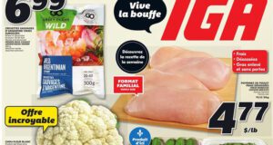 Circulaire IGA du 19 janvier au 25 janvier 2023