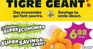 Circulaire Tigre Géant du 25 janvier au 31 janvier 2023