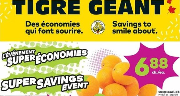 Circulaire Tigre Géant du 25 janvier au 31 janvier 2023