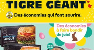 Circulaire Tigre Géant du 29 mars au 4 avril 2023