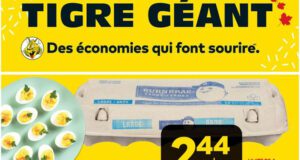 Circulaire Tigre Géant du 8 mars au 14 mars 2023