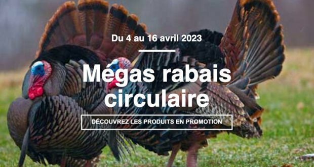 Ecotone Circulaire du 6 avril au 16 avril 2023