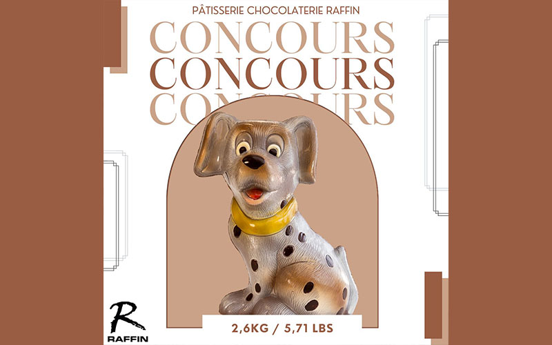 Un chien en chocolat géant de 2.6 kg à gagner