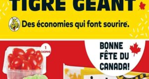 Circulaire Tigre Géant du 28 juin au 4 juillet 2023
