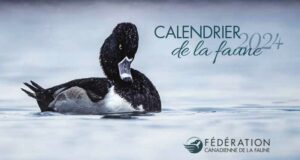 Commandez gratuitement votre calendrier de la Faune 2024