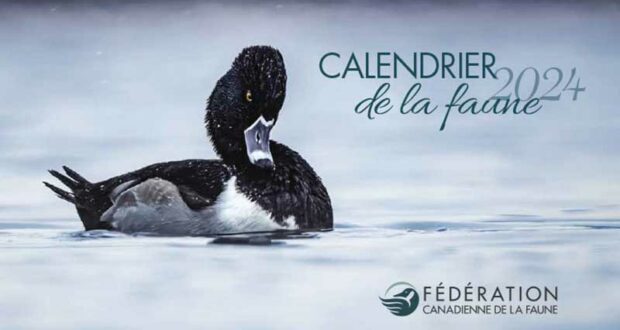 Commandez gratuitement votre calendrier de la Faune 2024