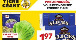 Circulaire Tigre Géant du 1 novembre au 7 novembre 2023