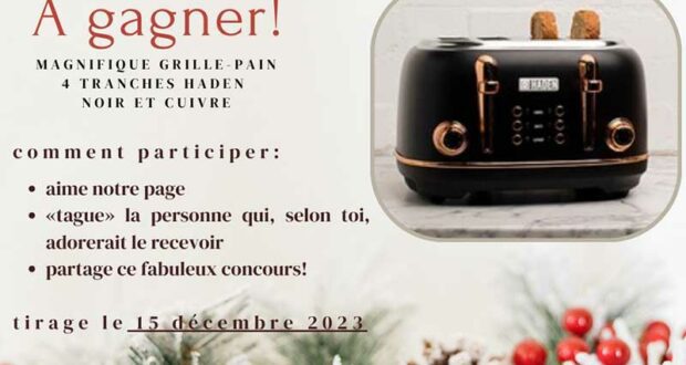 Gagnez Un grille-Pain Haden noir et cuivre