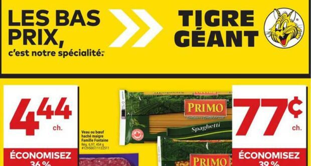 Circulaire Tigre Géant du 14 février au 20 février 2024