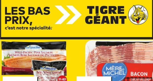 Circulaire Tigre Géant du 21 février au 27 février 2024